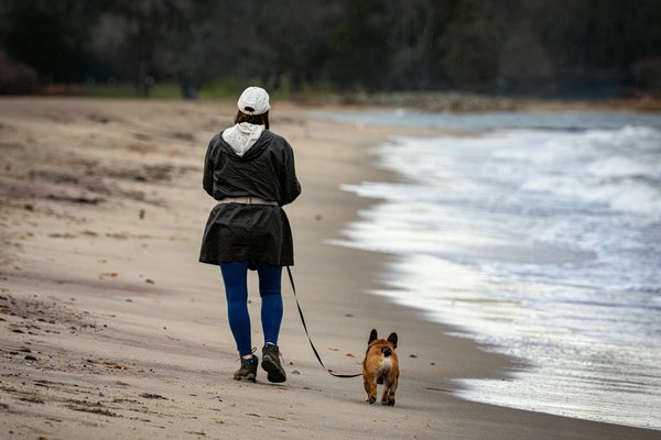 Un guide de l'élevage de Bernard l'hermite